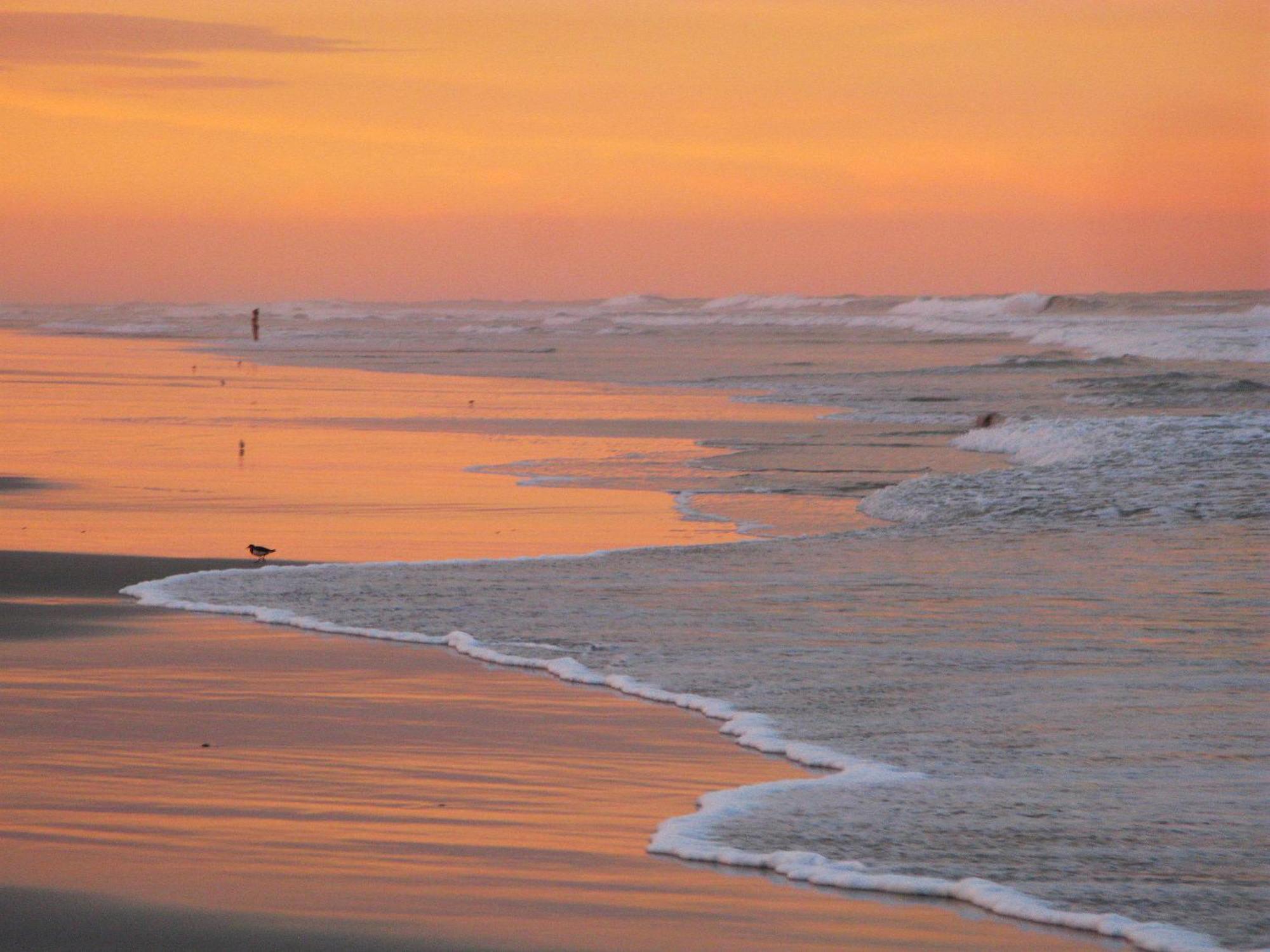 Guy Harvey Resort On Saint Augustine Beach Zewnętrze zdjęcie
